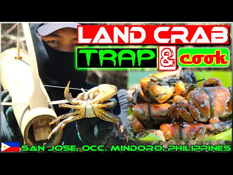 EP95 - Part1 - Land Crab (Kuray) Catch 'n Cook using "Salading"  Bamboo Trap | Occ. Mindoro