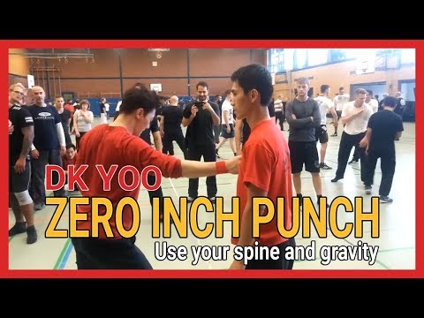 Zero inch punch(Use your spine and gravity) - DK Yoo