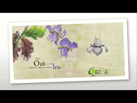 Slikovnica Čazma Natura