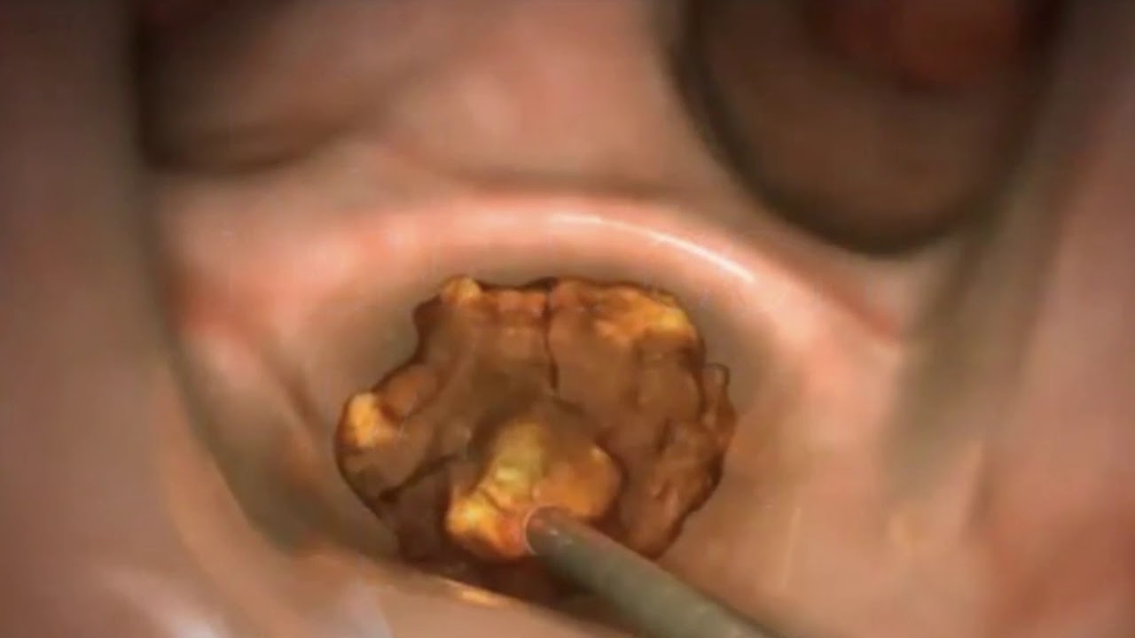 Gerardo Rodrigo Lemus Mena-17