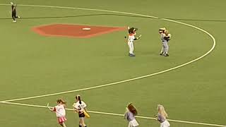 ﾊﾞﾌｧﾛｰｽﾞ☆ﾊﾟﾚｰﾄﾞ〜Bsﾊｲﾗｲﾄ 盛り沢山　2026/6/13㈯