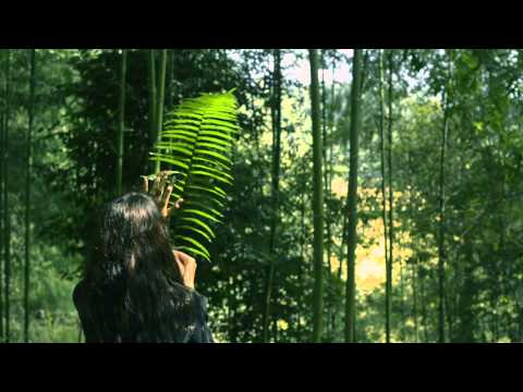 Shaa'ir + Func - Juxtapose (Music Video)