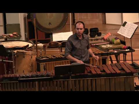 Martin Matalon - Traces IV (extrait)