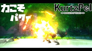 久々なのでテストがてらsoroq【KurtzPel:カーツペル】