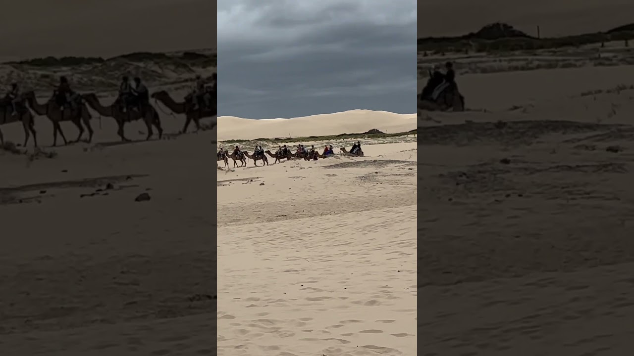 YouTube Short thumbnail