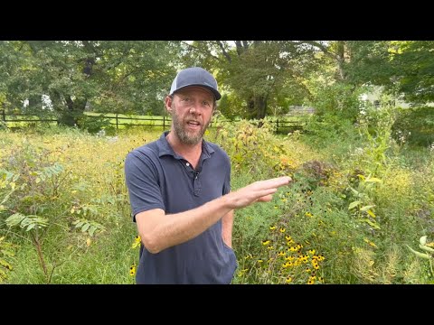 Rewild your backyard and track your progress with iNaturalist!