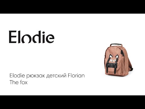 Elodie   Florian The fox