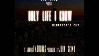Only Life I Know - Troy Ave ft Fabolous (new jan 2013)