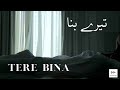 Tere Bina
