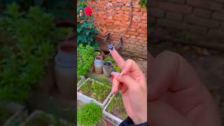 Top-3 Spy Camera Part 3 😍 || #shorts #unboxing