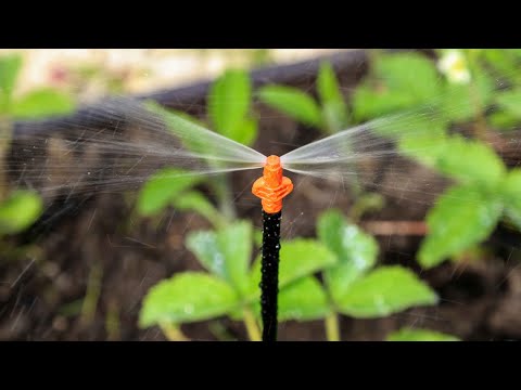 Миниатюра изображения товара Дождеватель Жук На 1 грядку / 330689-00