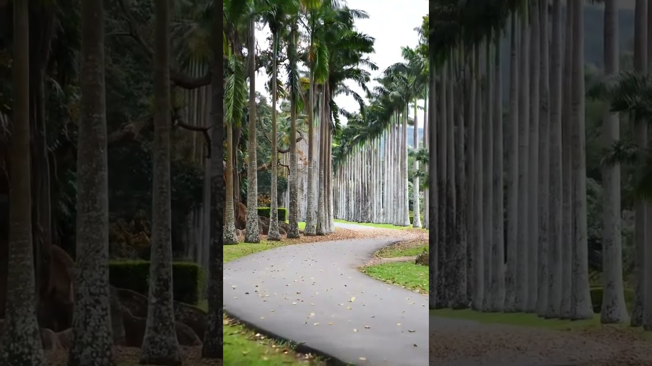 YouTube Short thumbnail