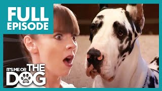 Thumbnail del capítulo