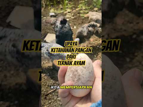 Subscribe Us