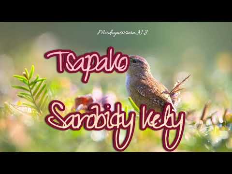 Tsapako-Sarobidy kely(Karaoké)