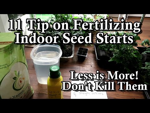 11 Tips on Fertilizing Indoor Garden Seed Starts: When to Feed, What to Use, & Don't Over Fertilize!