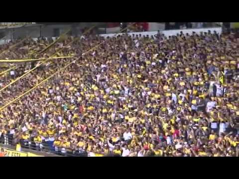 Os Tigres _ Sou carvoeiro - Criciúma 2 x 0 Chapecoense.mp4