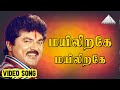 மயிலிறகே மயிலிறகே HD Video Song தென்காசிப்பட