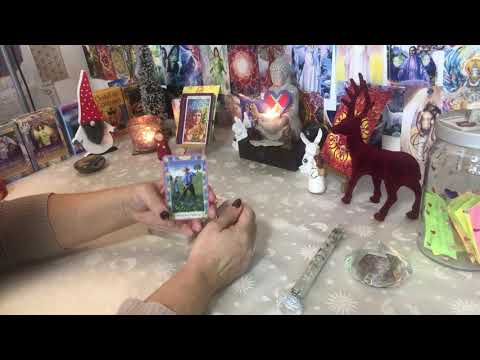 🦋Aloha Wunschpartner Orakel 01.12.-15.12.2020🌈