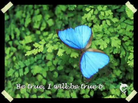 Be True (ft. Avion Blackman & 'Imisi) lyrics