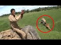 30 Scariest Tiger Encounters Of The Year