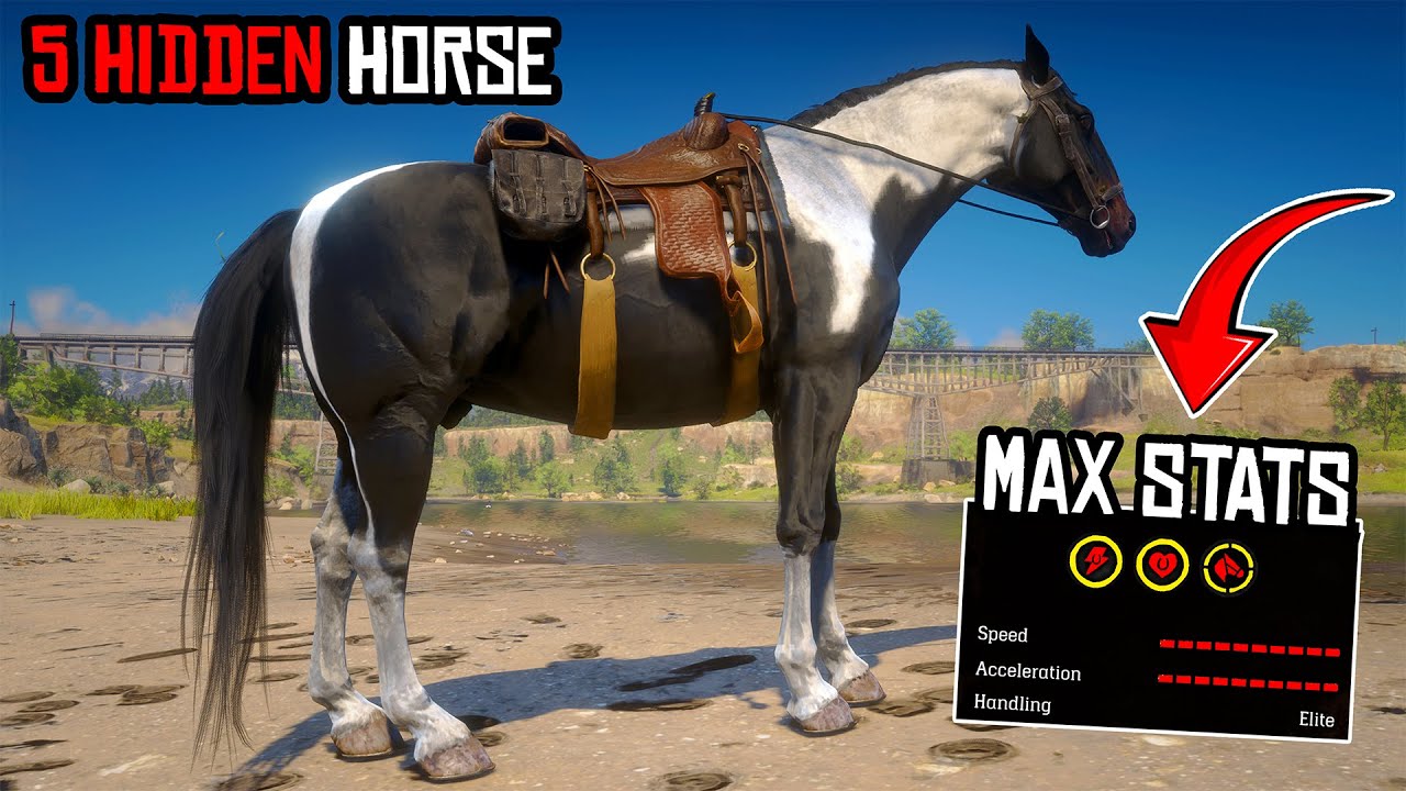 Top 5 Hidden Horse Locations You Must Find in Red Dead Redemption 2