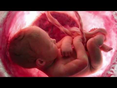 Craig Aven - Wonderfully Made