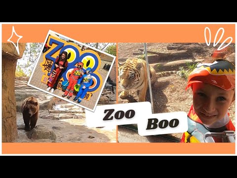 Indianapolis Zoo Boo // Meet the Foxes Vlog