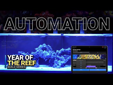 Aquarium Automation Explained | Year of the Reef Ep. 20