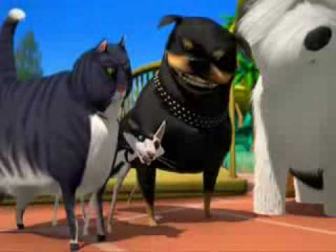 Sezon na Misia najlepsze teksty...:)