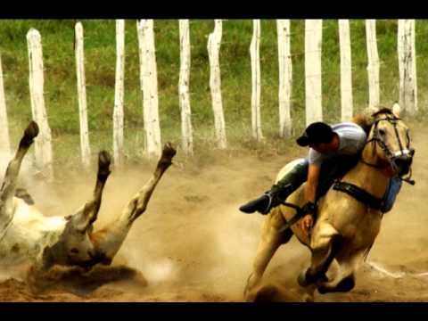 A saga de um vaqueiro - Catuaba com Amendoim