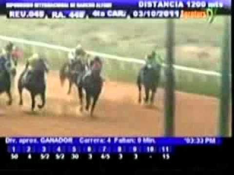 Resumen Lunes, 03 de Octubre de 2011 - Rancho Alegre