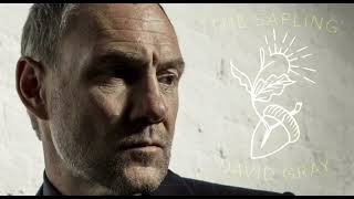 David Gray - The Sapling