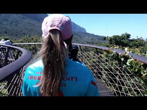 The Boomslang Tree Top Canopy Walkway - Kirstenbosch Gardens, Cape Town
