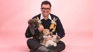 Dan Levy: The Puppy Interview