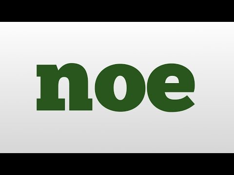 noe meaning and pronunciation