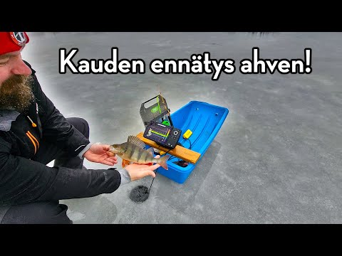 Ahvenpilkillä vesisateessa