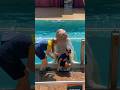 HE GOT PRANKED BY SEAWORLD Walrus