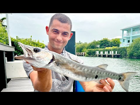 Fishing in The Florida Keys - AMAZING UNDERWATER FOOTAGE - Dock Fishing | The Fish Locker