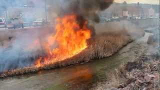 preview picture of video 'Prescribed fire along the Fall River'