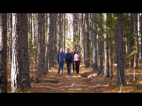 Videoclip de Wild Loneliness — Superchunk
