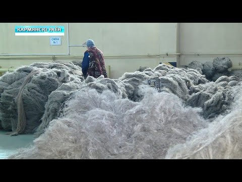 Возможности развития льноводства рассматриваются в Кормянском районе видео