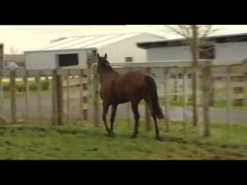 My Keepsake story.mp4