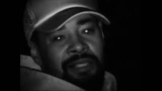 Songtext von JPEGMAFIA & Danny Brown - SCARING THE HOES ... Text Musik-video-Miniaturansicht