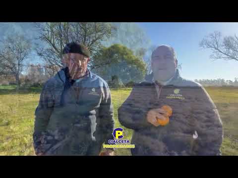 Venta de Chacra en zona de Migues, Canelones, con casa