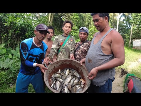 SE03EP130 Part2 - TATLONG BUNGKOS - HALOS MAPUNO na naman ANG ISANG BANYERA | San Pablo City, Laguna