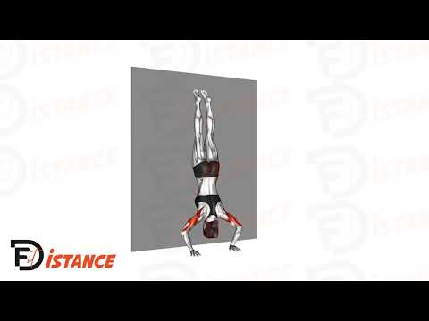 Pompes en équilibre sur les mains (Handstand Push-Ups) - Exercice Pompes en équilibre sur les mains (Handstand Push-Ups) en vidéo