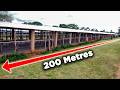 How To Build A MEGA Chicken House CHEAP And QUICK