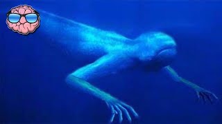 Top 10 Sea Monster Sightings Caught On Tape