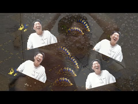 SnOw PvT but every time a reaver hits something he laughs - Starcraft Broodwar